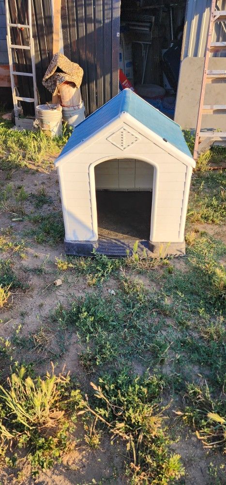 Dog House