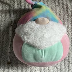 Rayford The Garden Gnome Squishmallow