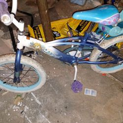 Huffy Frozen With The Baby Sled On The Back So They Can Carry Their Dolls