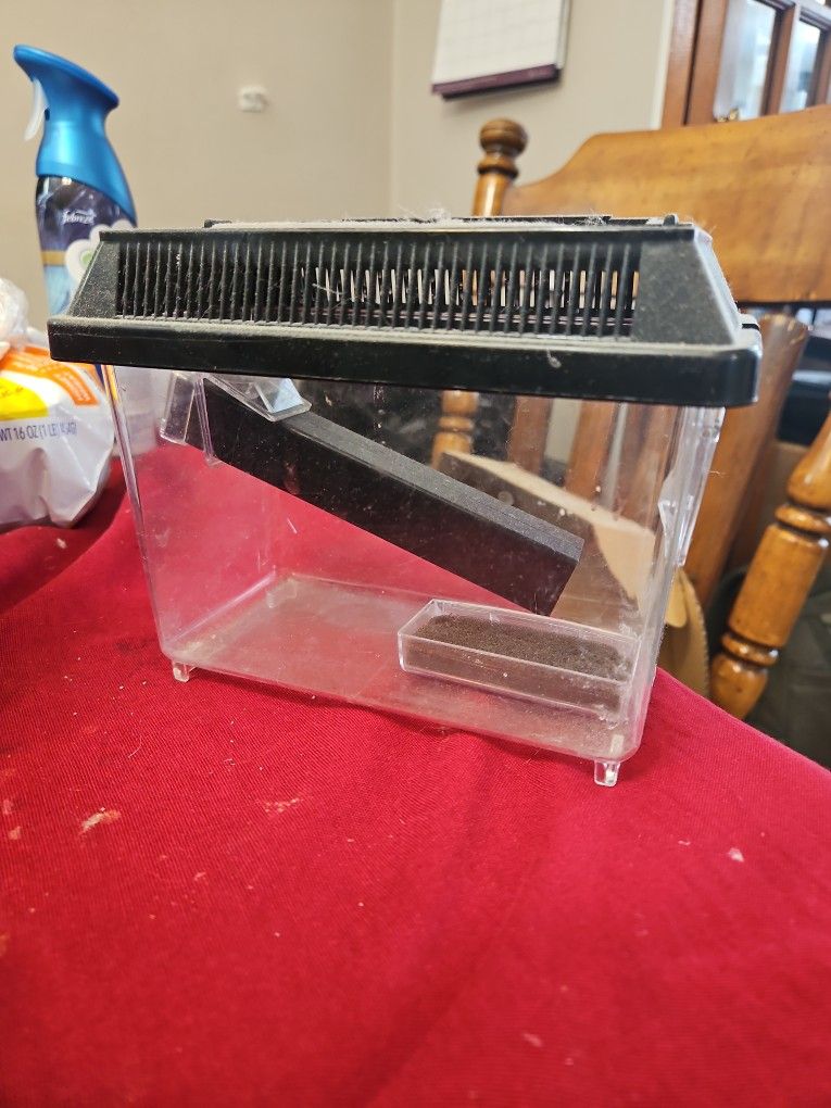 Insect Clear Cage