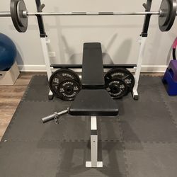 Olympic Bench With 230 LBS of Plates