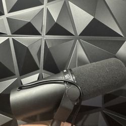 Microphone