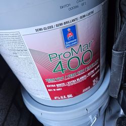 5 Gallon Paint