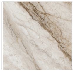  Rivermont Oro 24 in. × 24 in. Polished Porcelain Stone Look Floor and Wall Tile