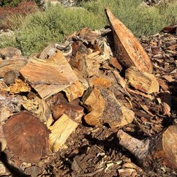 Firewood/knots/odd Pieces
