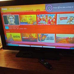 Sony TV with Roku