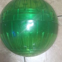 Guinea Pig Exercise Ball