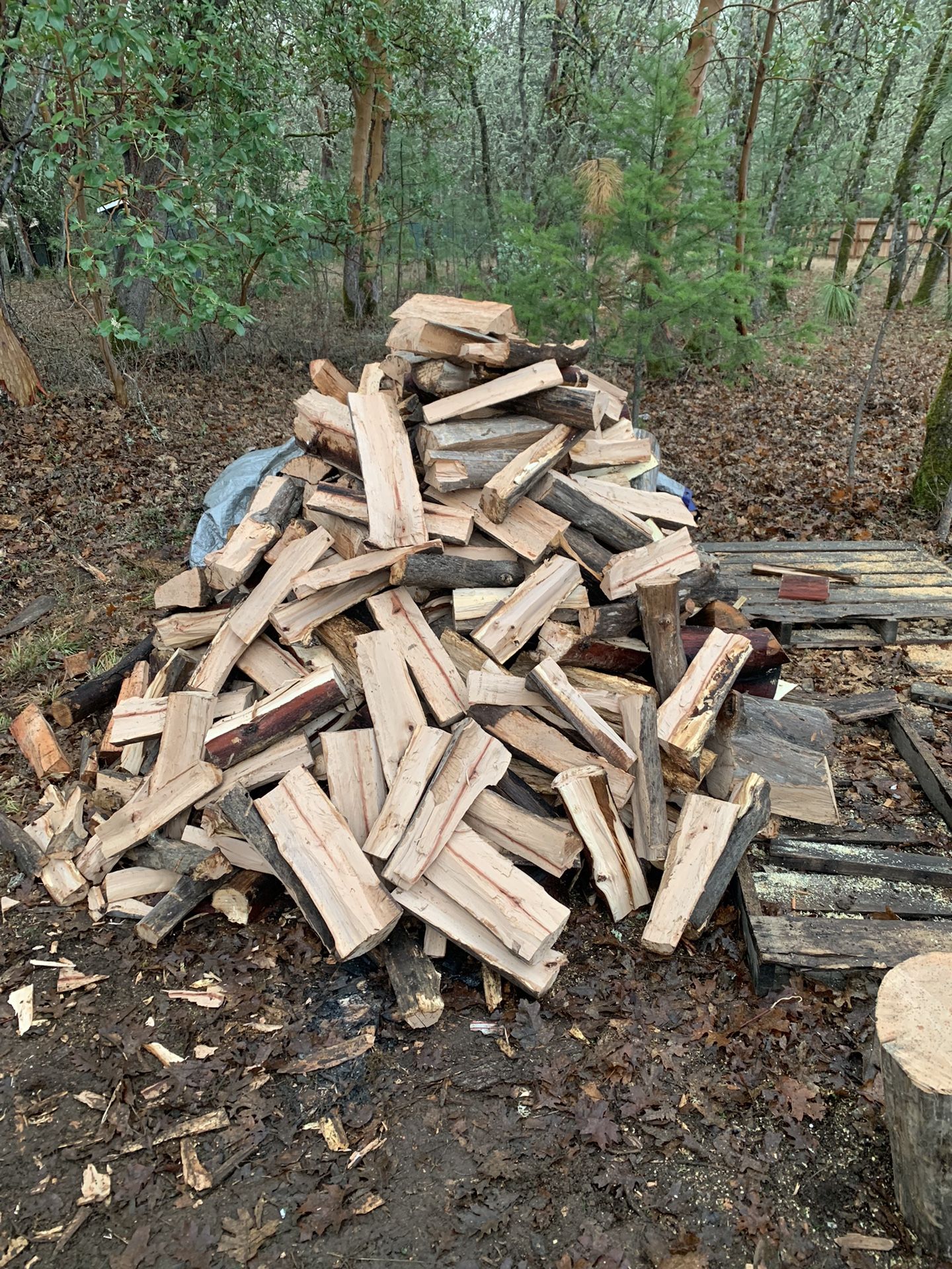 Madrone Firewood (seasoned)