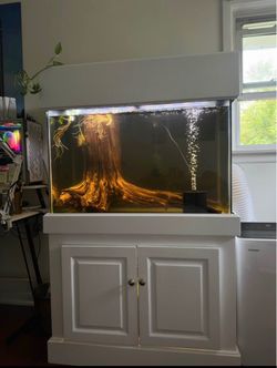 Fish tank