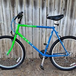 Restomod 1991 Marin Palisades