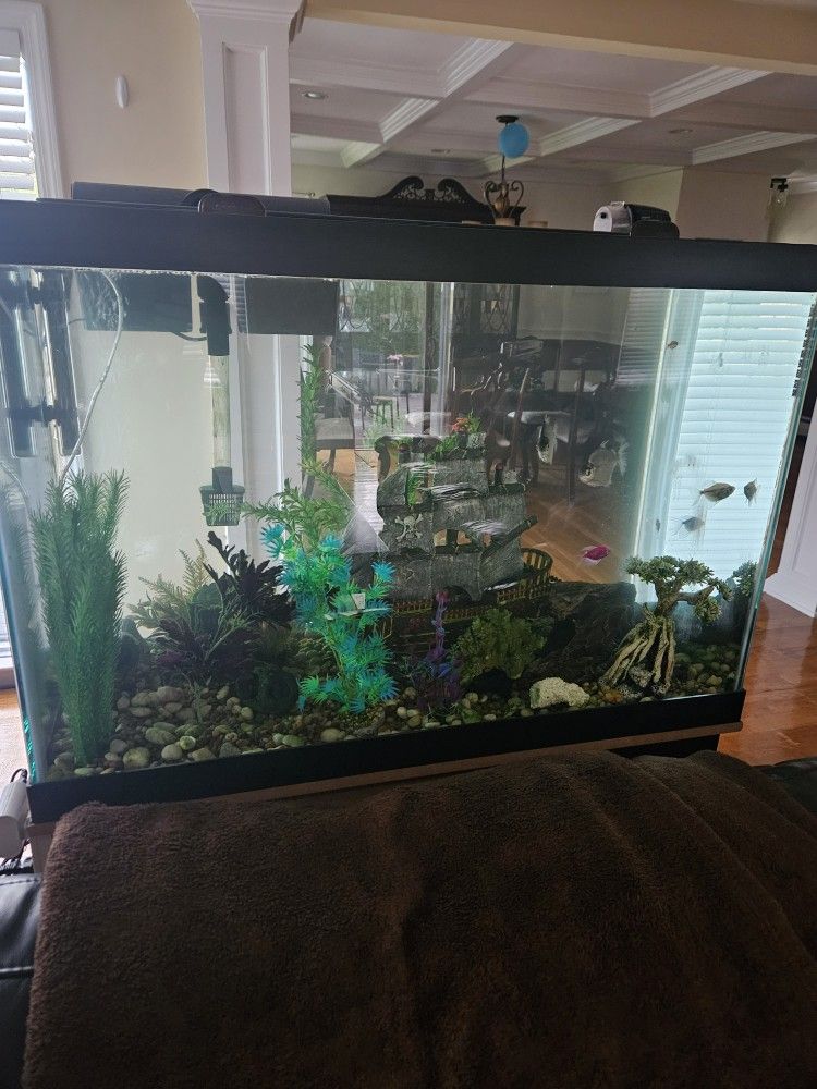 Tropical Fish Includes Tank & Stand Entire System