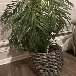 decorative Fake Plant