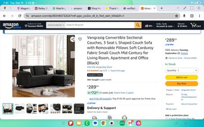 Couch from amazon