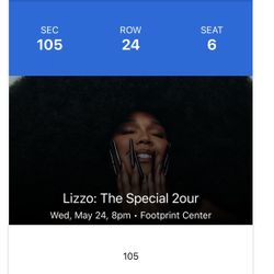 Lizzo Lower Bowl Sec 105 