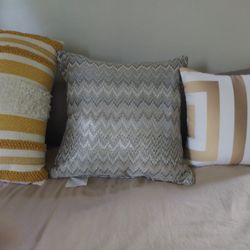 Decor Pillows LG & Sm Never Used