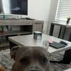 Cam