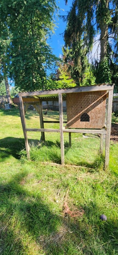 Chicken Coop