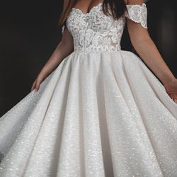 Olivia bottega Elise sparkly ivory glitter and lace bridal wedding or reception dress.  This dress has been altered for my daughter who is a size Medi