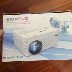 DVD Projector 