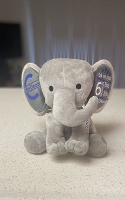 Birth stats Elephant