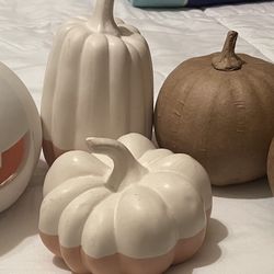 Halloween/Fall Decorations 