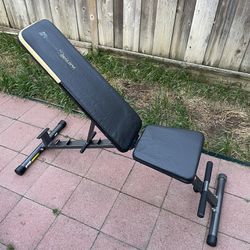 Workout Bench - Multi Position