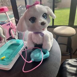 Dog Toy