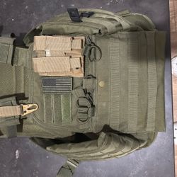 Plate carrier with Plates