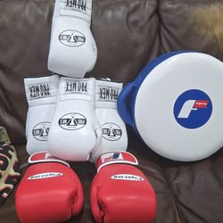 Boxing Gloves And Punching Pad