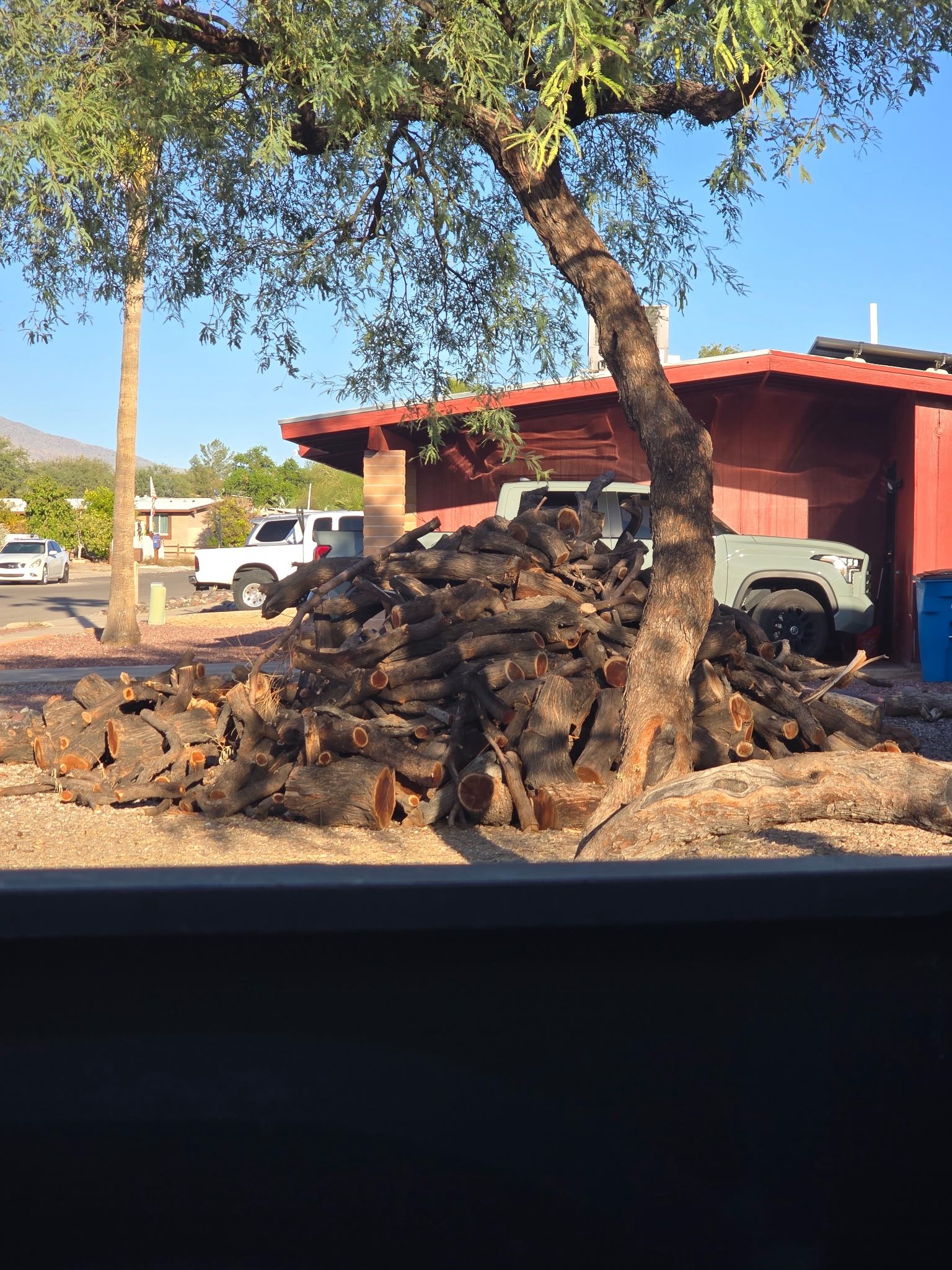 Firewood