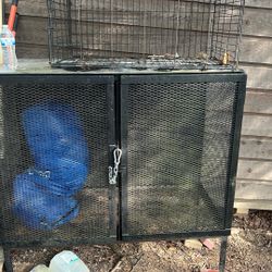 Metal Double Bear Proof