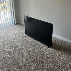 Vizio 43 inch WiFi Capable TV