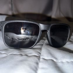 Oakley Holbrook