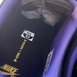 Kobe Bryant Nike Sb’s