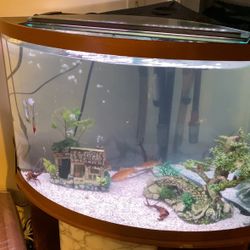 Corner Fish Tank