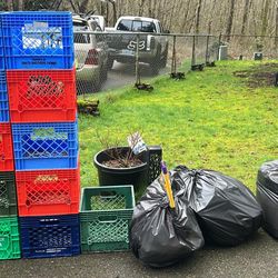 Free Milk Crates ( Read Description)