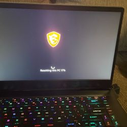 Vector GP66 Hx Gaming Laptop