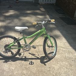 LIV Children’s Mountain Bike. 7 Speed