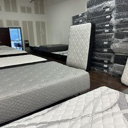 I Need to Clear Out These Mattresses This Weekend 