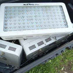 LED Grow And Veg Lights