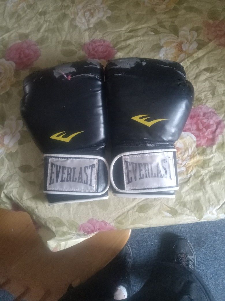 16 Oz Everlast Boxing Gloves