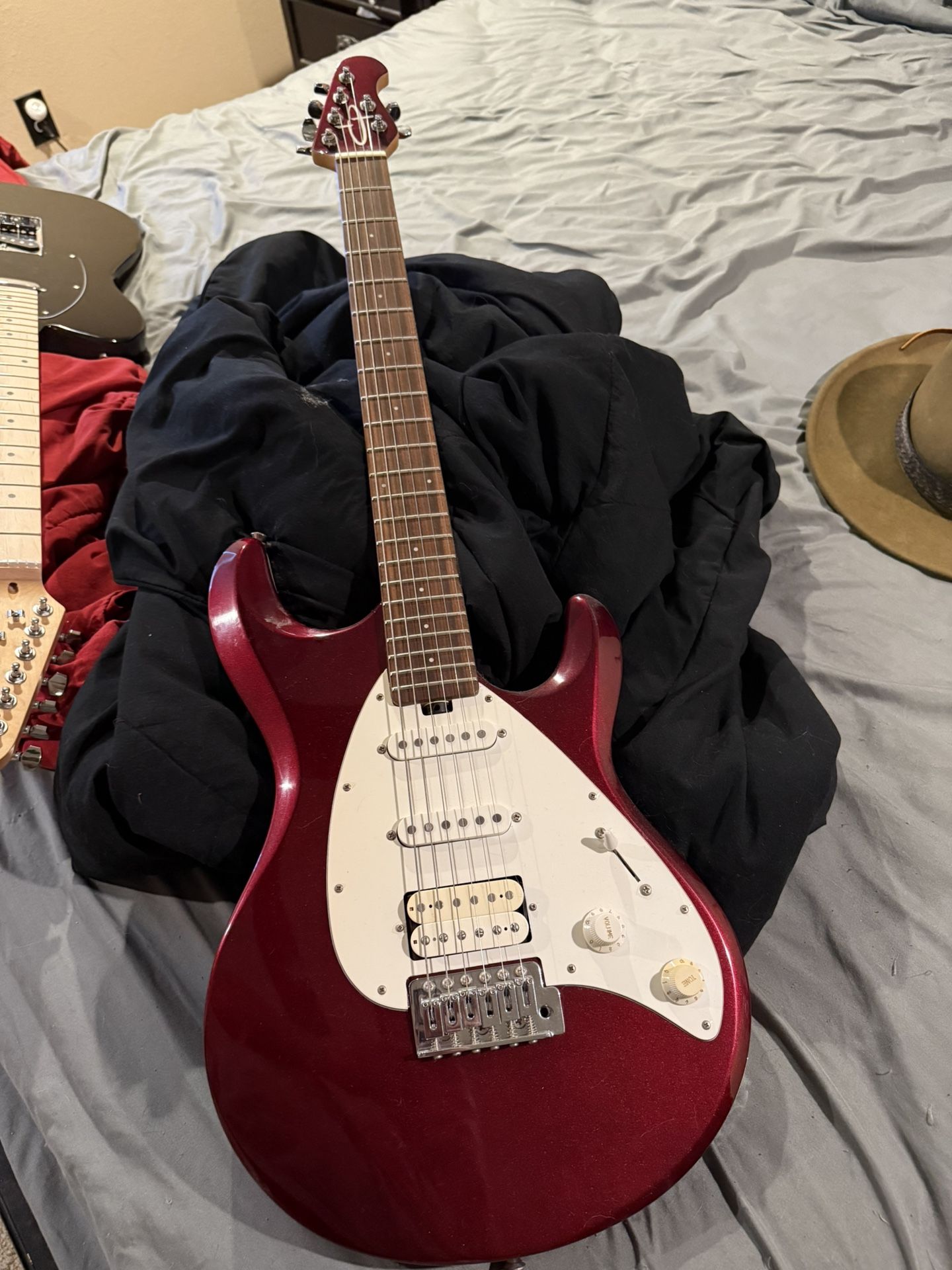Ernie Ball Guitar 