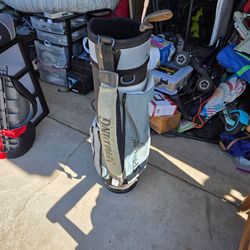 Cart bag and a couple clubs!