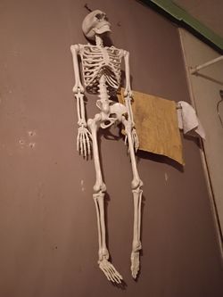 Skeleton