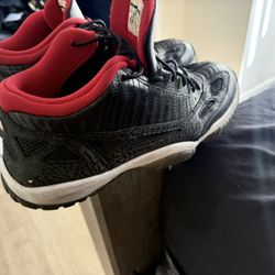 Jordan 12 Wool & Jordan 11  Retro  IE Both 50