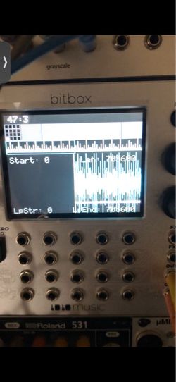 1010 music Bitbox sampler : Eurorack modular