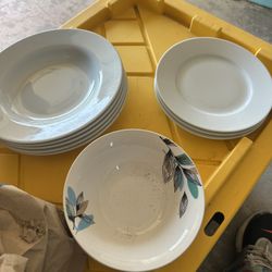 Plates N Cups 