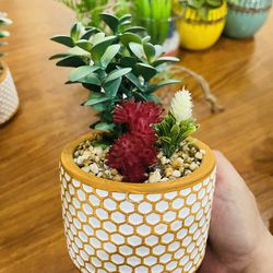 Brand New With Artificial Succulent Plant $5 Only One Left 