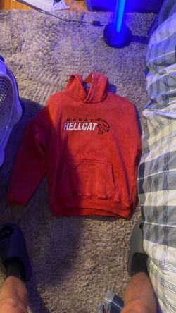 Hollister Graphic Hoodie