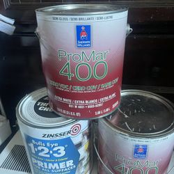 Primer And Semi Gloss Paint